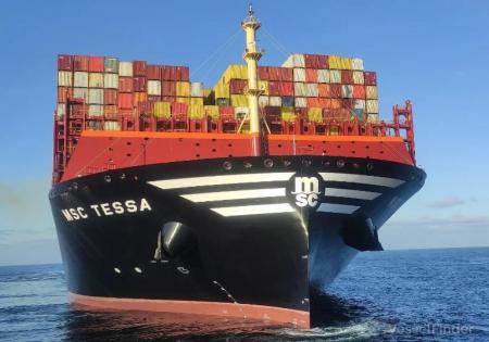 msc-tessa